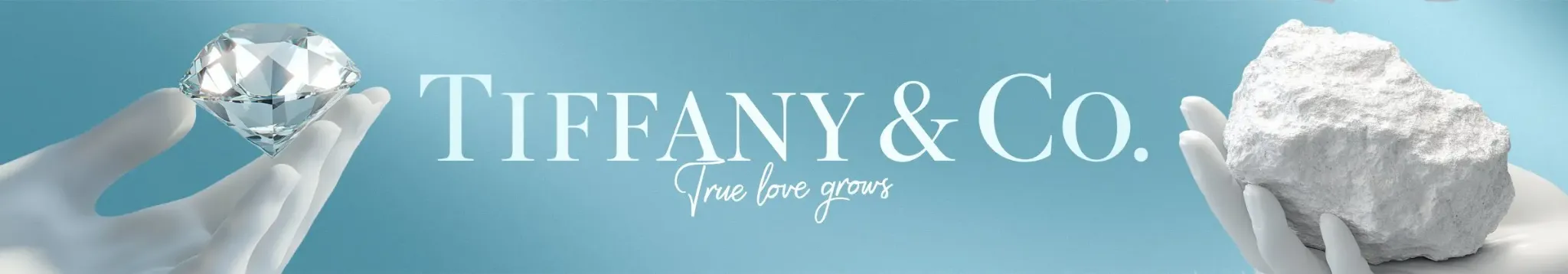 TC Header